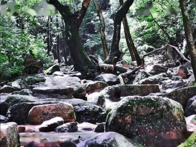 和云南人一起逛菜市